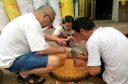 市粮油食品监测站到峨边开展新收获粮食抽样检验工作281